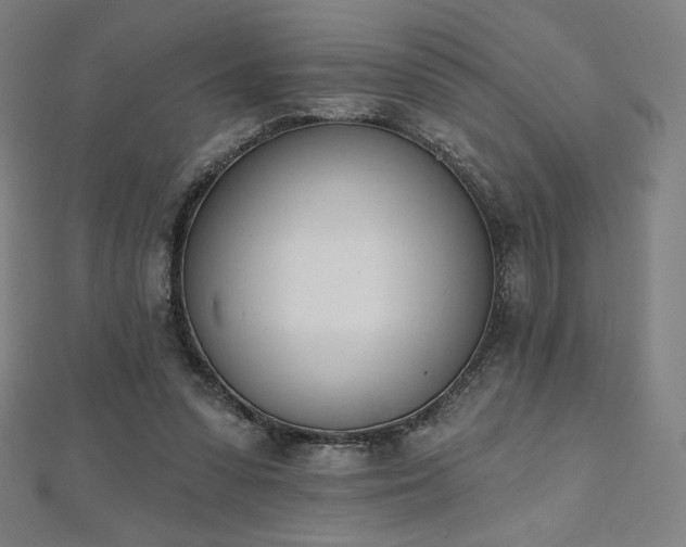 X0000112500303200908171315