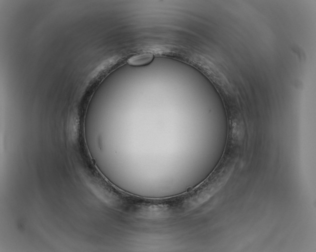 X0000112500304200908171315