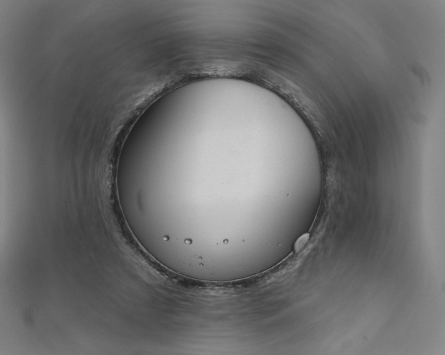 X0000112500305200908171315