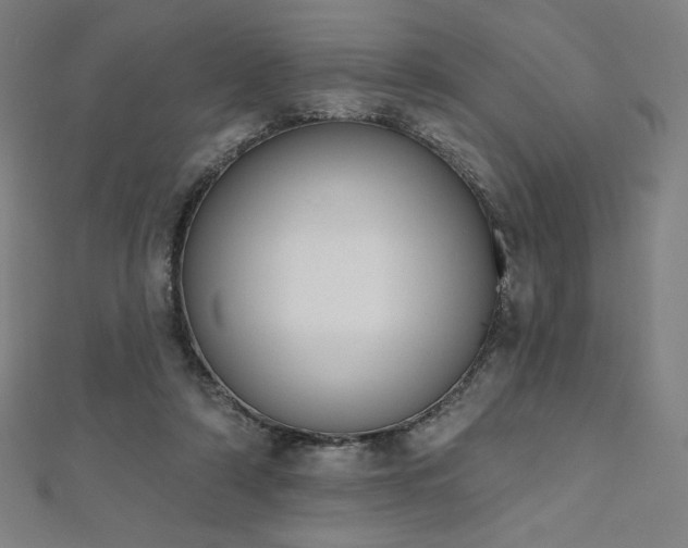 X0000112500306200908171315