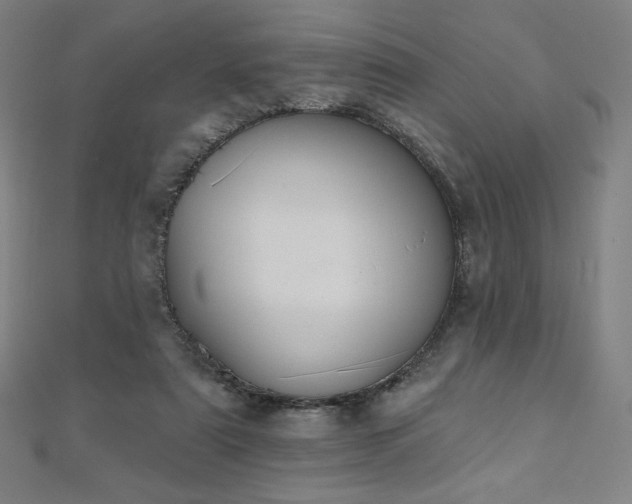 X0000112500307200908171315