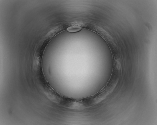 X0000112500308200908171315