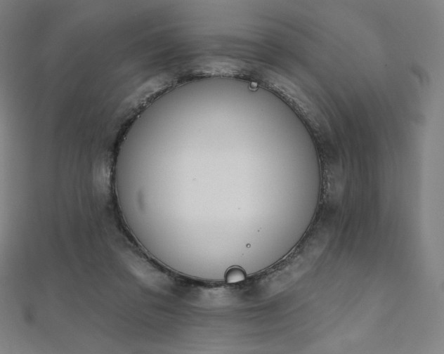 X0000112500309200908171315