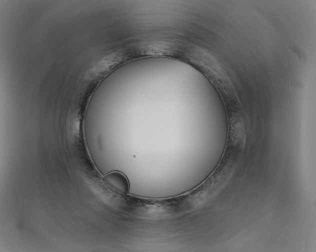 X0000112500310200908171315