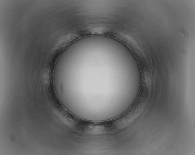 X0000112500311200908171315