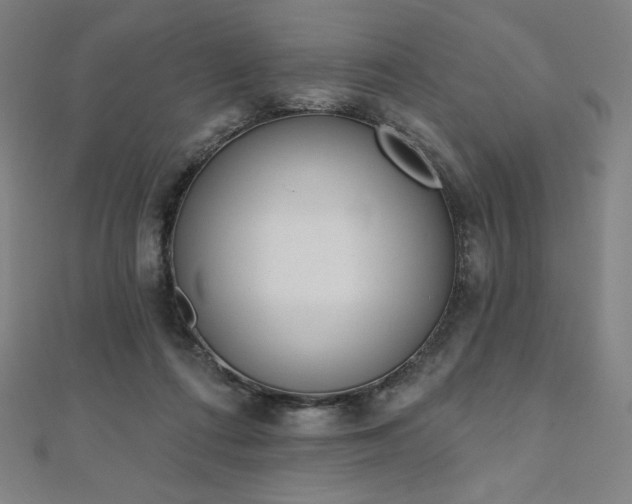 X0000112500312200908171315