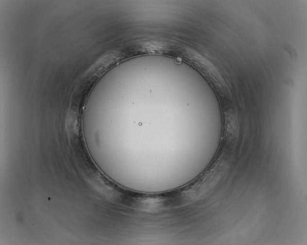 X0000112500313200908171315