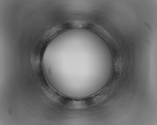 X0000112500314200908171315