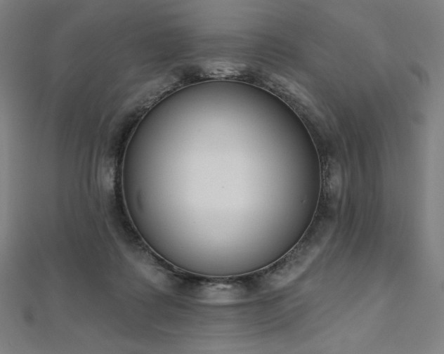 X0000112500315200908171315