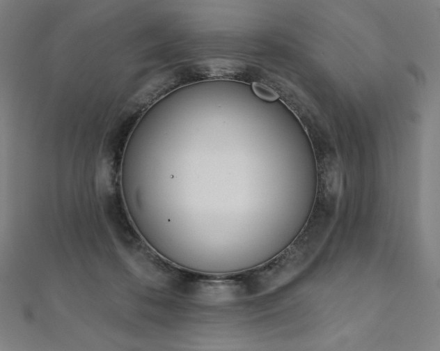 X0000112500316200908171315