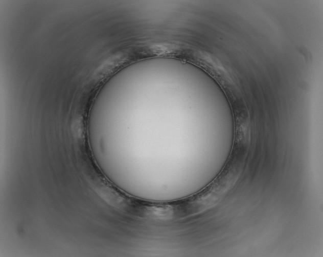 X0000112500317200908171315