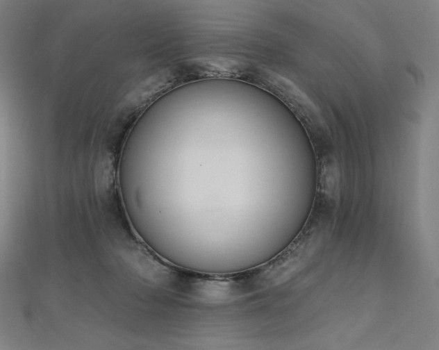 X0000112500318200908171315