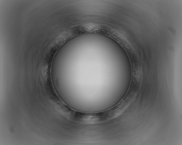 X0000112500319200908171315