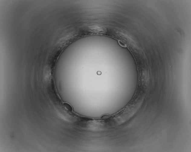 X0000112500320200908171315