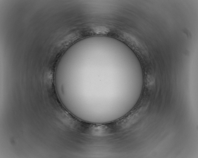 X0000112500321200908171315