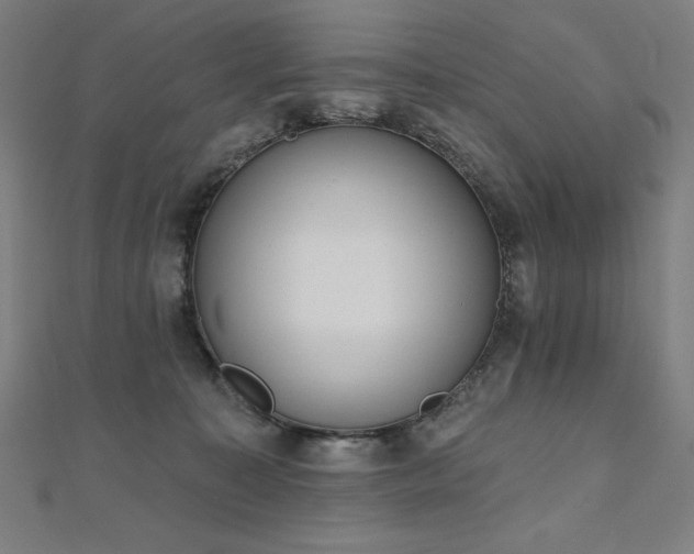 X0000112500323200908171315