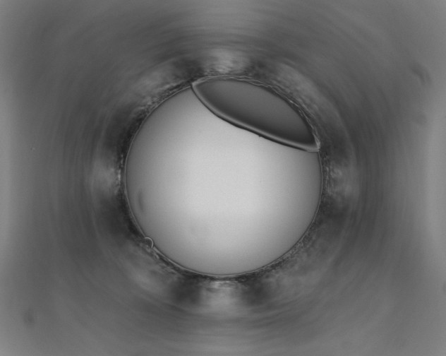 X0000112500324200908171315