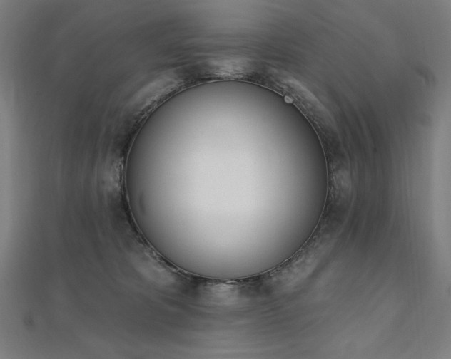 X0000112500325200908171315