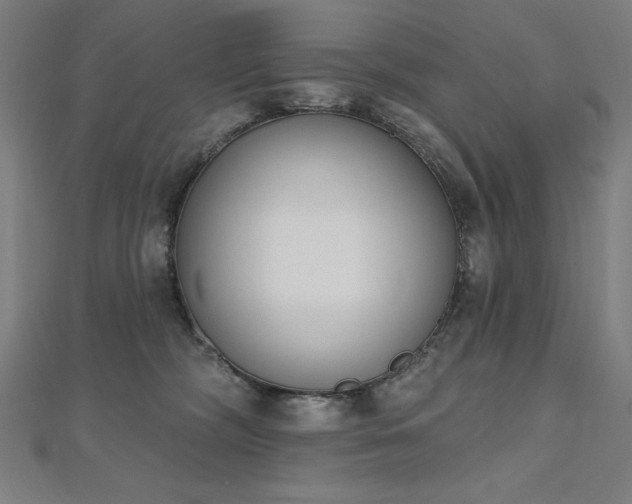 X0000112500326200908171315