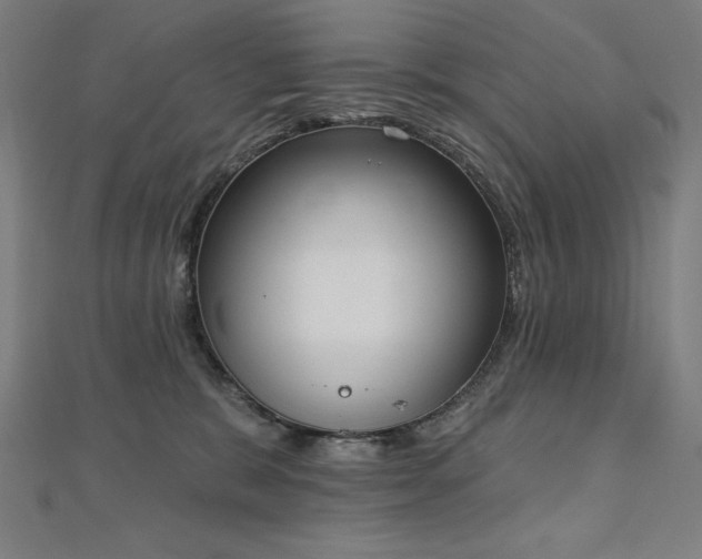 X0000112500327200908171315