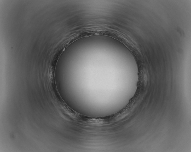 X0000112500328200908171315