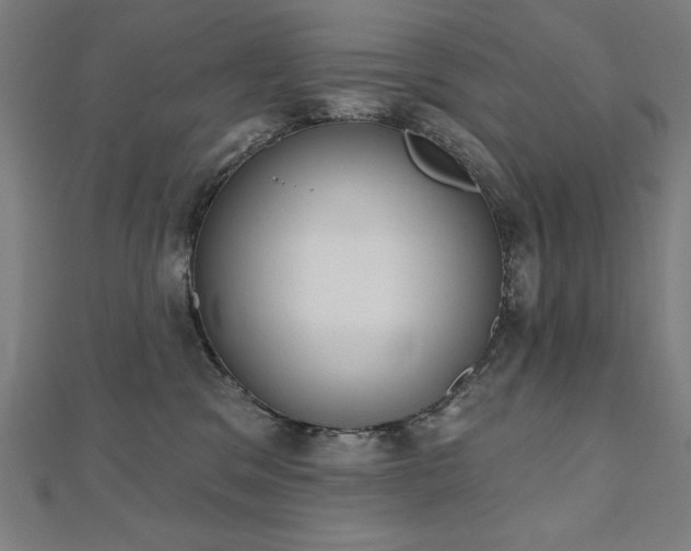 X0000112500329200908171315