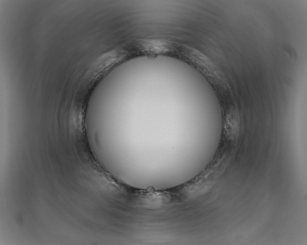 X0000112500330200908171315