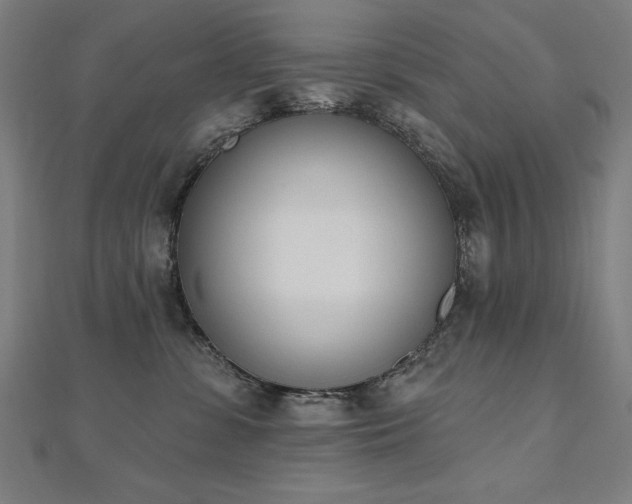 X0000112500331200908171315