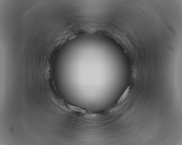 X0000112500332200908171315