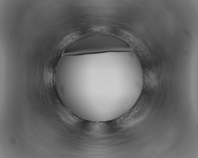 X0000112500333200908171315