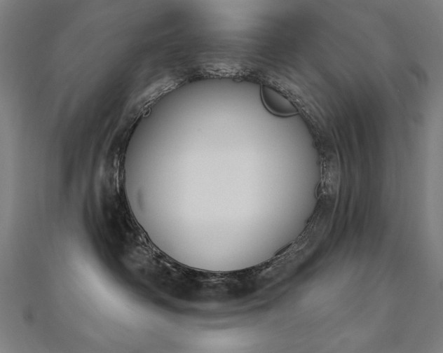 X0000112500334200908171315