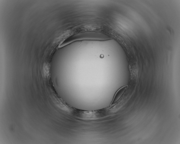 X0000112500335200908171315