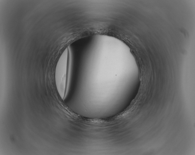 X0000112500336200908171315