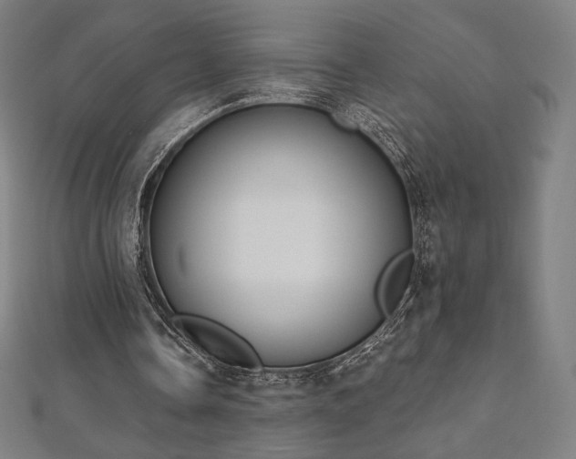 X0000112500338200908171314