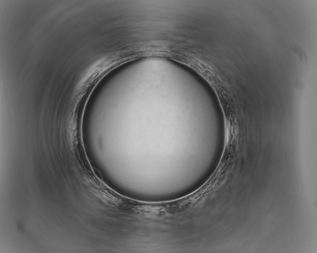 X0000112500339200908171314