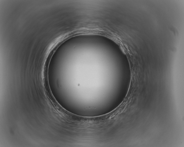 X0000112500340200908171314