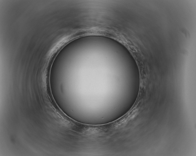 X0000112500341200908171314