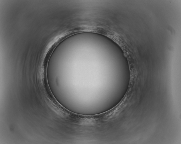 X0000112500342200908171314