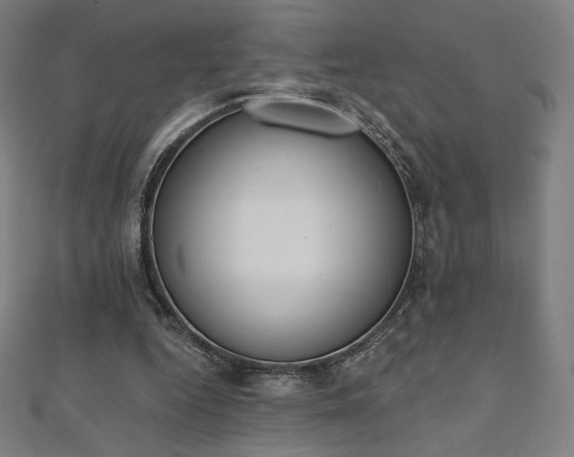 X0000112500344200908171314