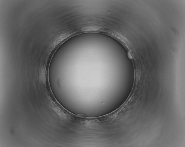 X0000112500345200908171314