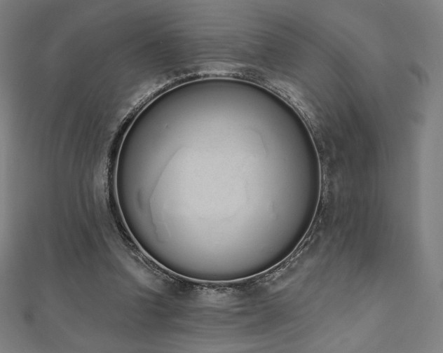 X0000112500346200908171314