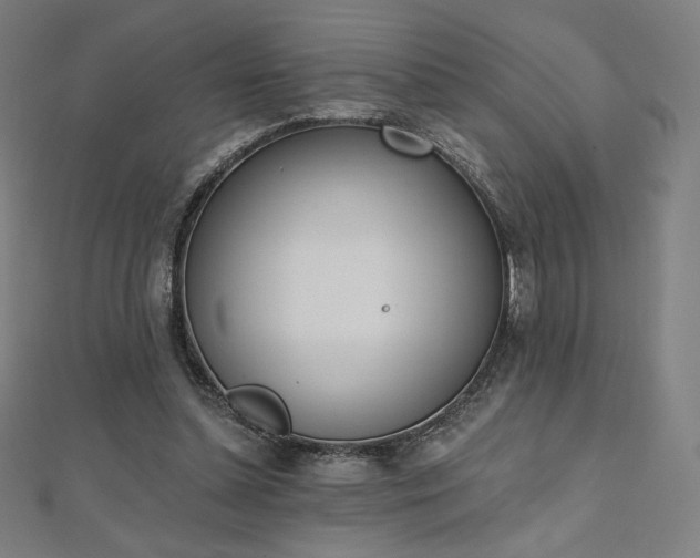 X0000112500348200908171314