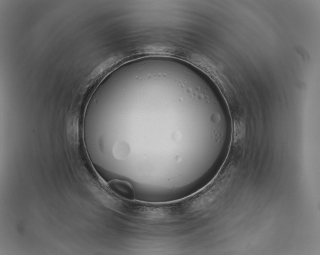 X0000112500349200908171314