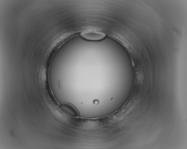 X0000112500350200908171314