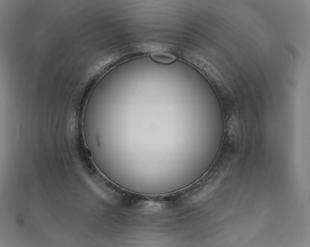 X0000112500352200908171314