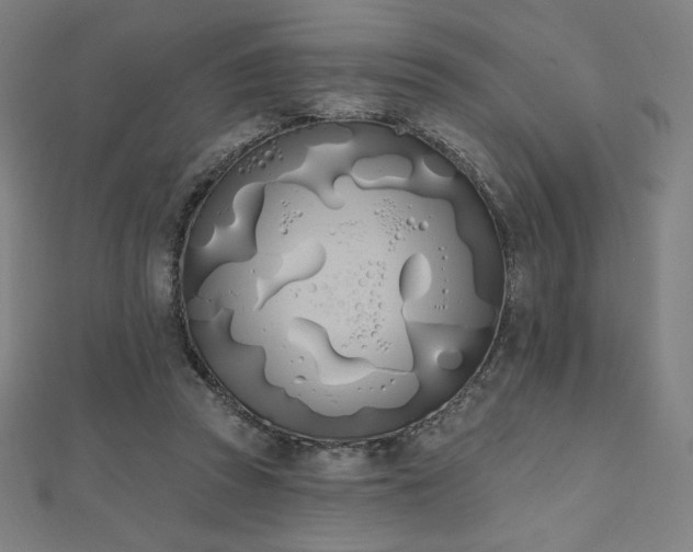 X0000112500353200908171314