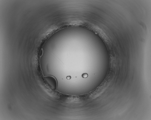 X0000112500354200908171314