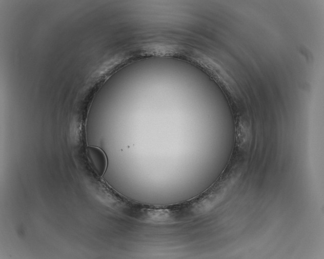 X0000112500355200908171314