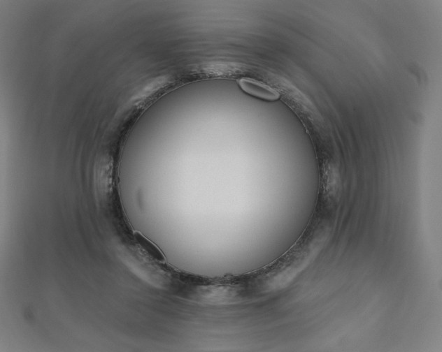 X0000112500356200908171314