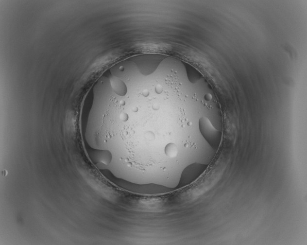 X0000112500357200908171314